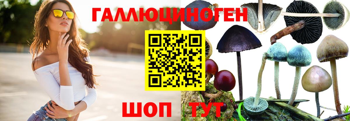 Псилоцибиновые грибы Cubensis Ейск